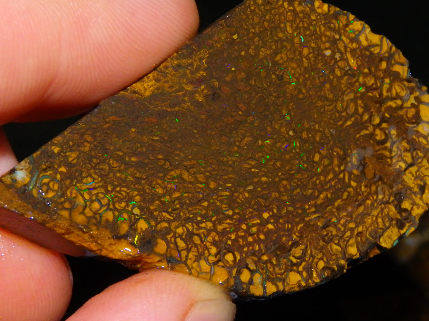 Nice Parcel Rough/Sliced Koroit Opal 1226cts Queensland Australia Patterns/Fires Au