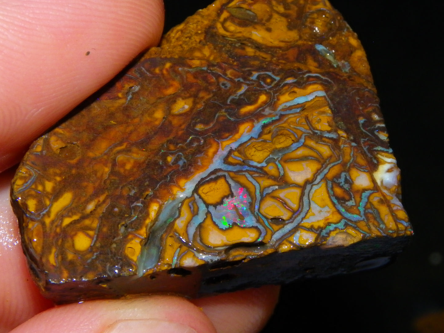 Nice Parcel Rough/Sliced Koroit Opal 1226cts Queensland Australia Patterns/Fires Au