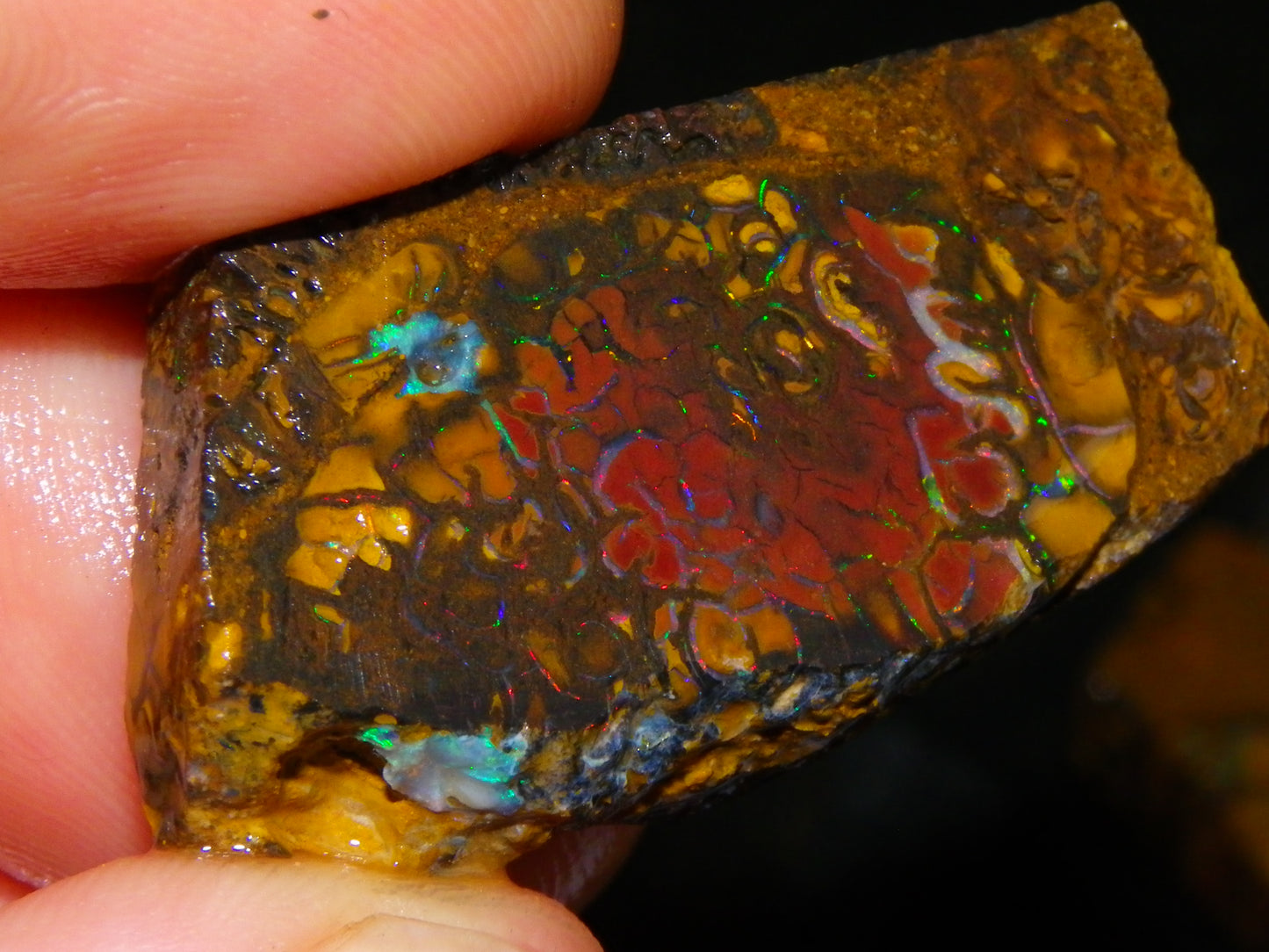 Nice Parcel Rough/Sliced Koroit Opal 1226cts Queensland Australia Patterns/Fires Au