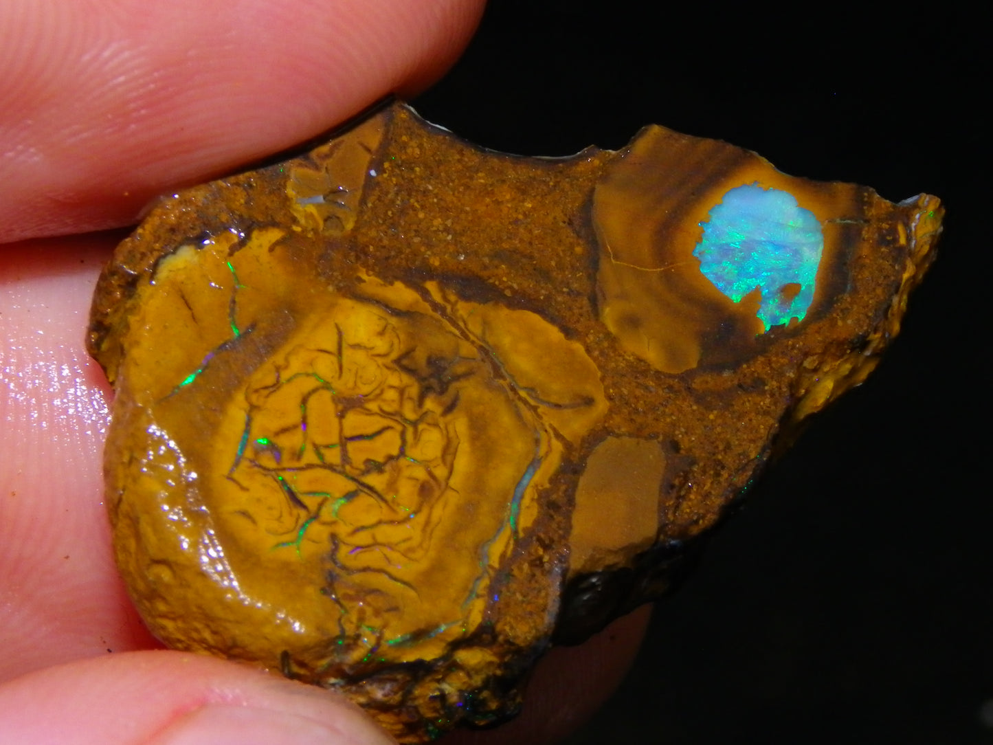 Nice Parcel Rough/Sliced Koroit Opal 1226cts Queensland Australia Patterns/Fires Au