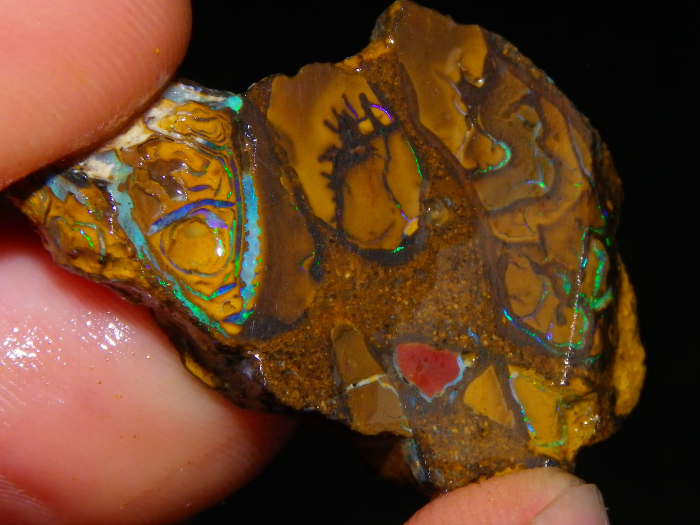 Nice Parcel Rough/Sliced Koroit Opal 1226cts Queensland Australia Patterns/Fires Au