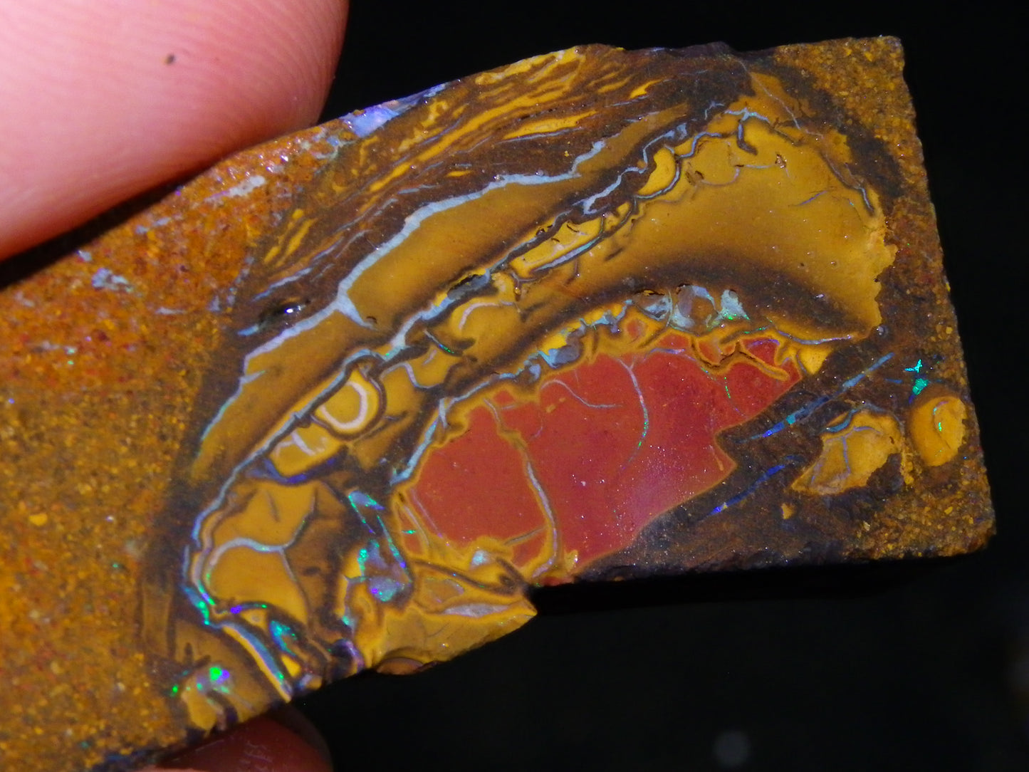 Nice Parcel Rough/Sliced Koroit Opal 1226cts Queensland Australia Patterns/Fires Au
