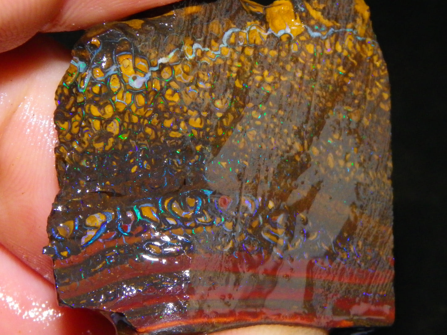 Nice Parcel Rough/Sliced Koroit Opal 1226cts Queensland Australia Patterns/Fires Au