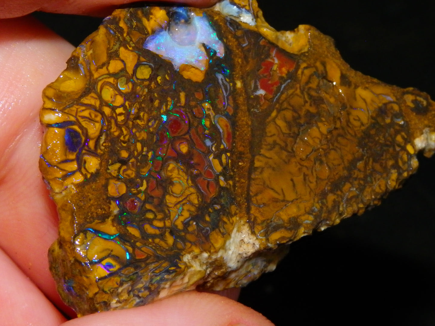 Nice Parcel Rough/Sliced Koroit Opal 1226cts Queensland Australia Patterns/Fires Au