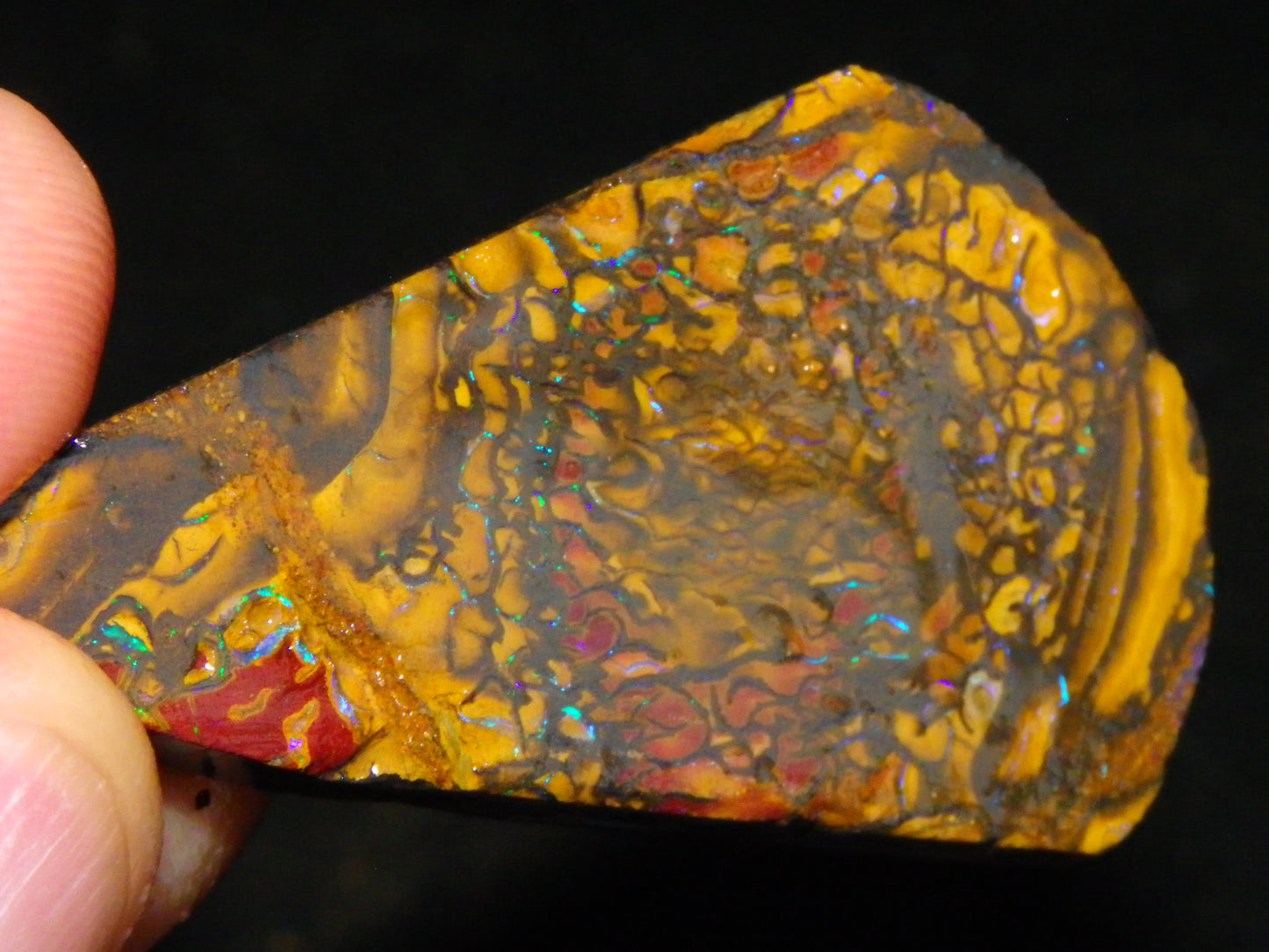 Nice Parcel Rough/Sliced Koroit Opal 1226cts Queensland Australia Patterns/Fires Au