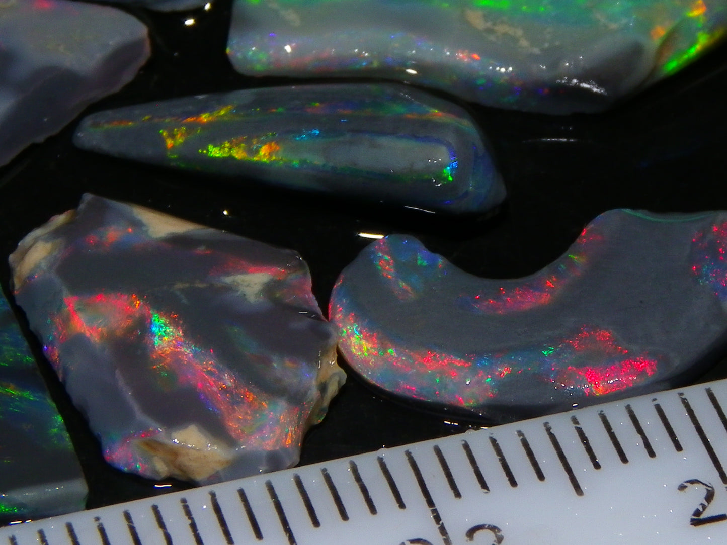 Nice Rough/Rubbed/Sliced Lightning Ridge Opal Parcel 32.9cts Red/Green Fires Dark Base