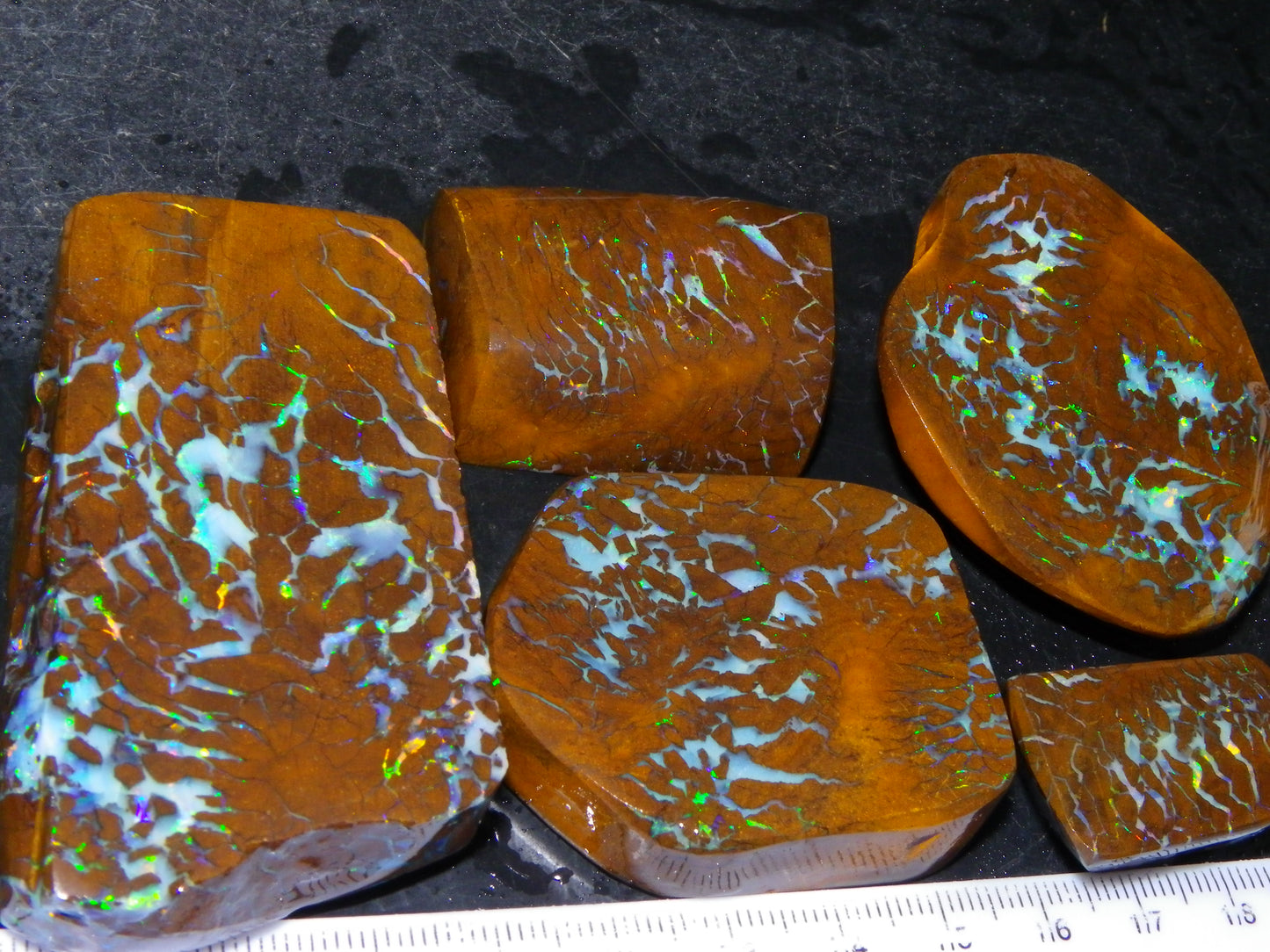 Gem Rough/Sliced Matrix Opal Set/Parcel 1218cts Opalton Queensland Australia