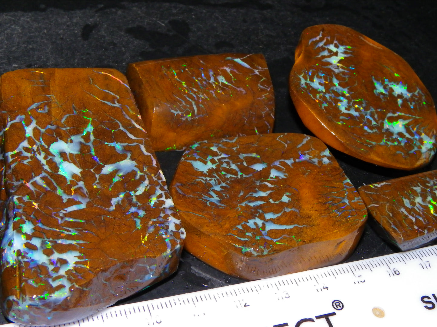 Gem Rough/Sliced Matrix Opal Set/Parcel 1218cts Opalton Queensland Australia