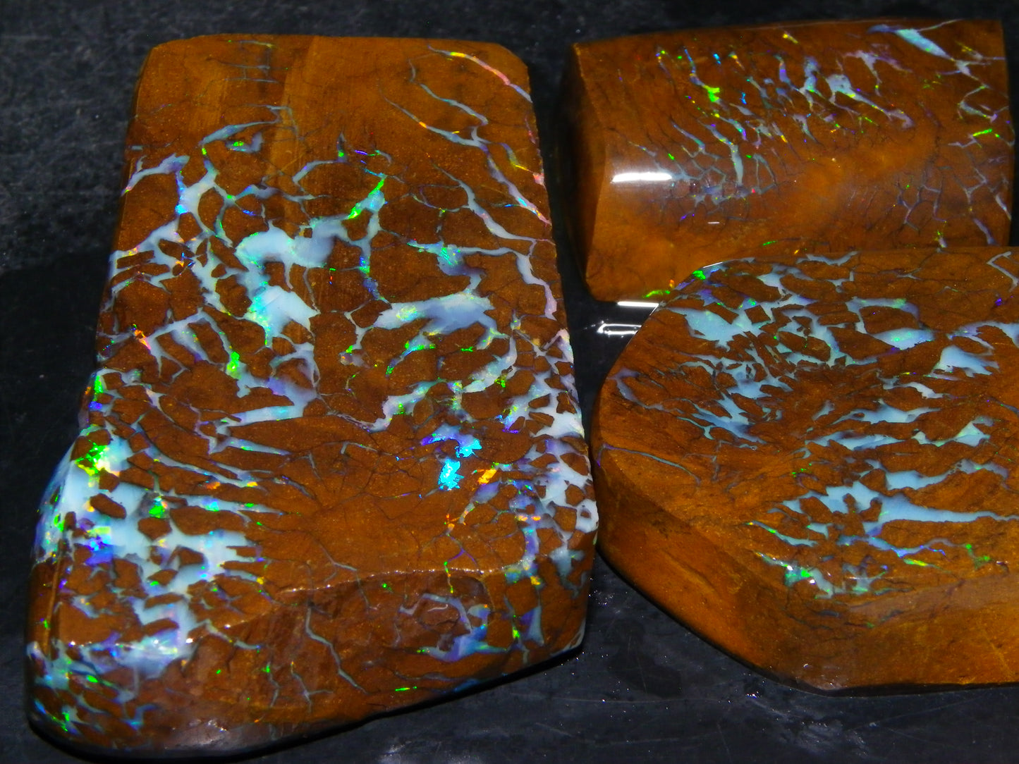 Gem Rough/Sliced Matrix Opal Set/Parcel 1218cts Opalton Queensland Australia