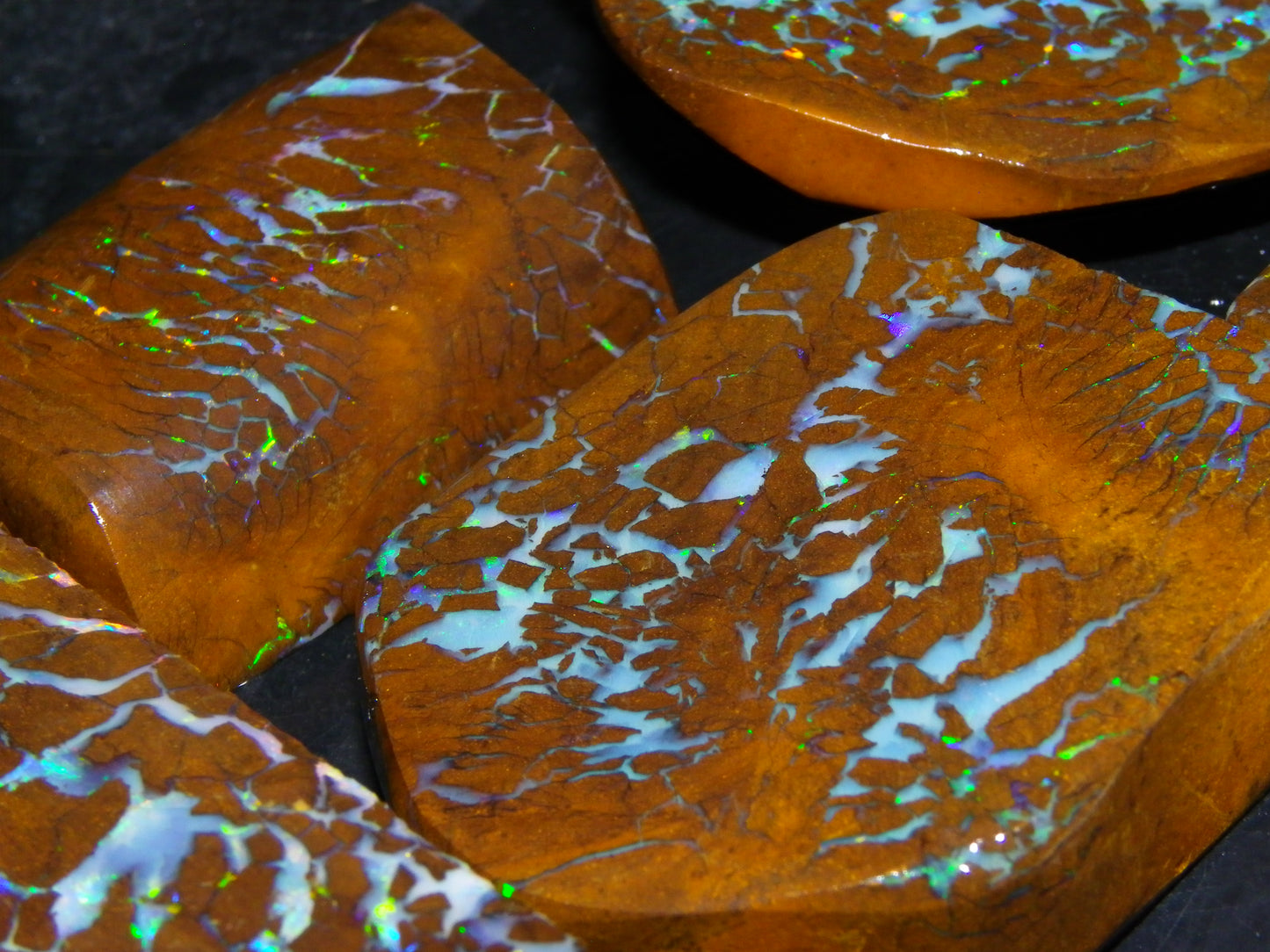 Gem Rough/Sliced Matrix Opal Set/Parcel 1218cts Opalton Queensland Australia