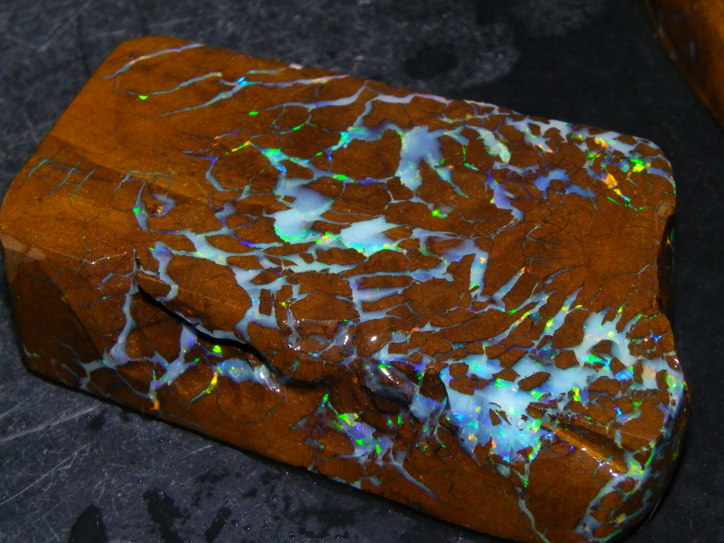 Gem Rough/Sliced Matrix Opal Set/Parcel 1218cts Opalton Queensland Australia