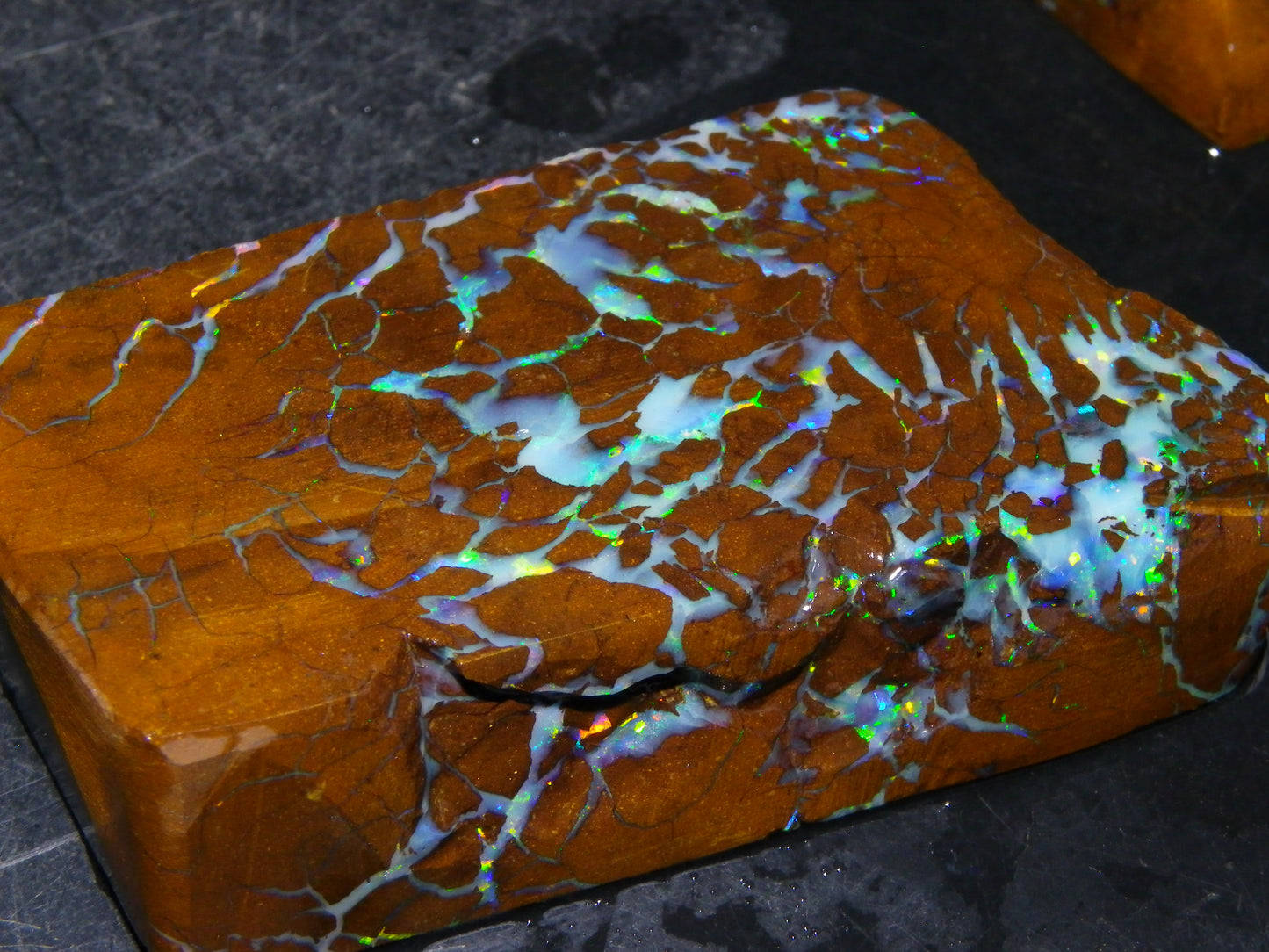 Gem Rough/Sliced Matrix Opal Set/Parcel 1218cts Opalton Queensland Australia