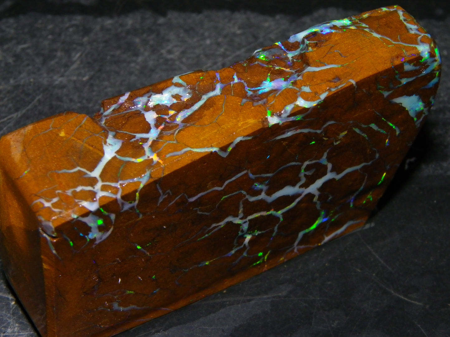 Gem Rough/Sliced Matrix Opal Set/Parcel 1218cts Opalton Queensland Australia