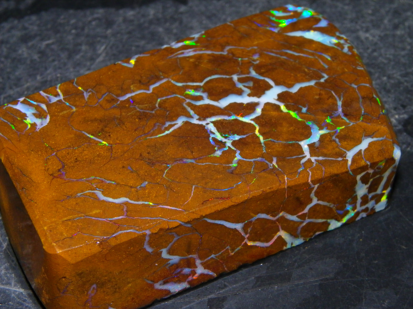 Gem Rough/Sliced Matrix Opal Set/Parcel 1218cts Opalton Queensland Australia