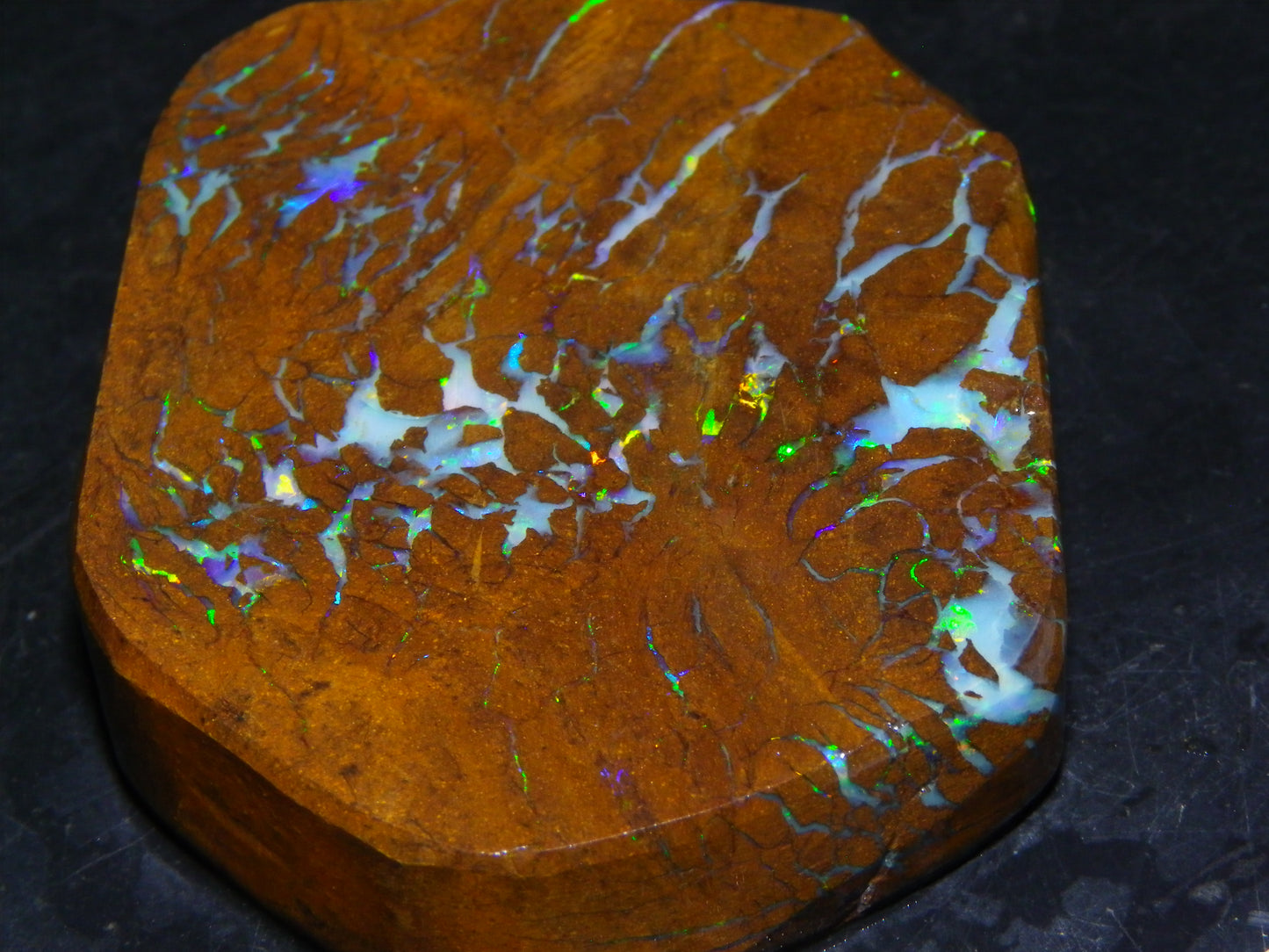 Gem Rough/Sliced Matrix Opal Set/Parcel 1218cts Opalton Queensland Australia