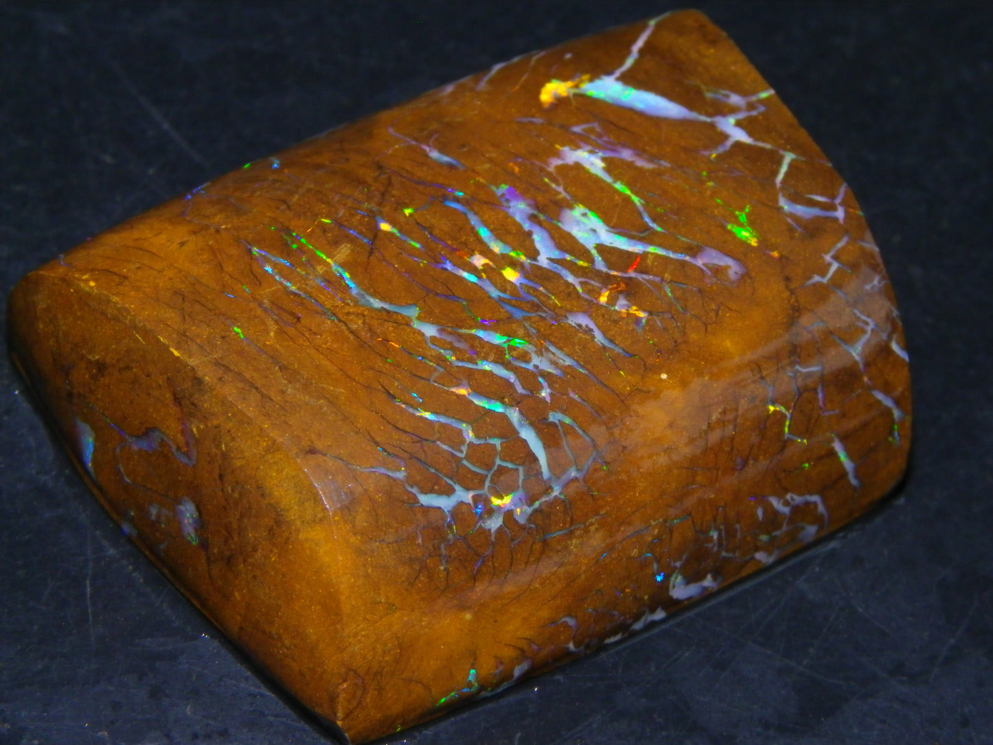 Gem Rough/Sliced Matrix Opal Set/Parcel 1218cts Opalton Queensland Australia