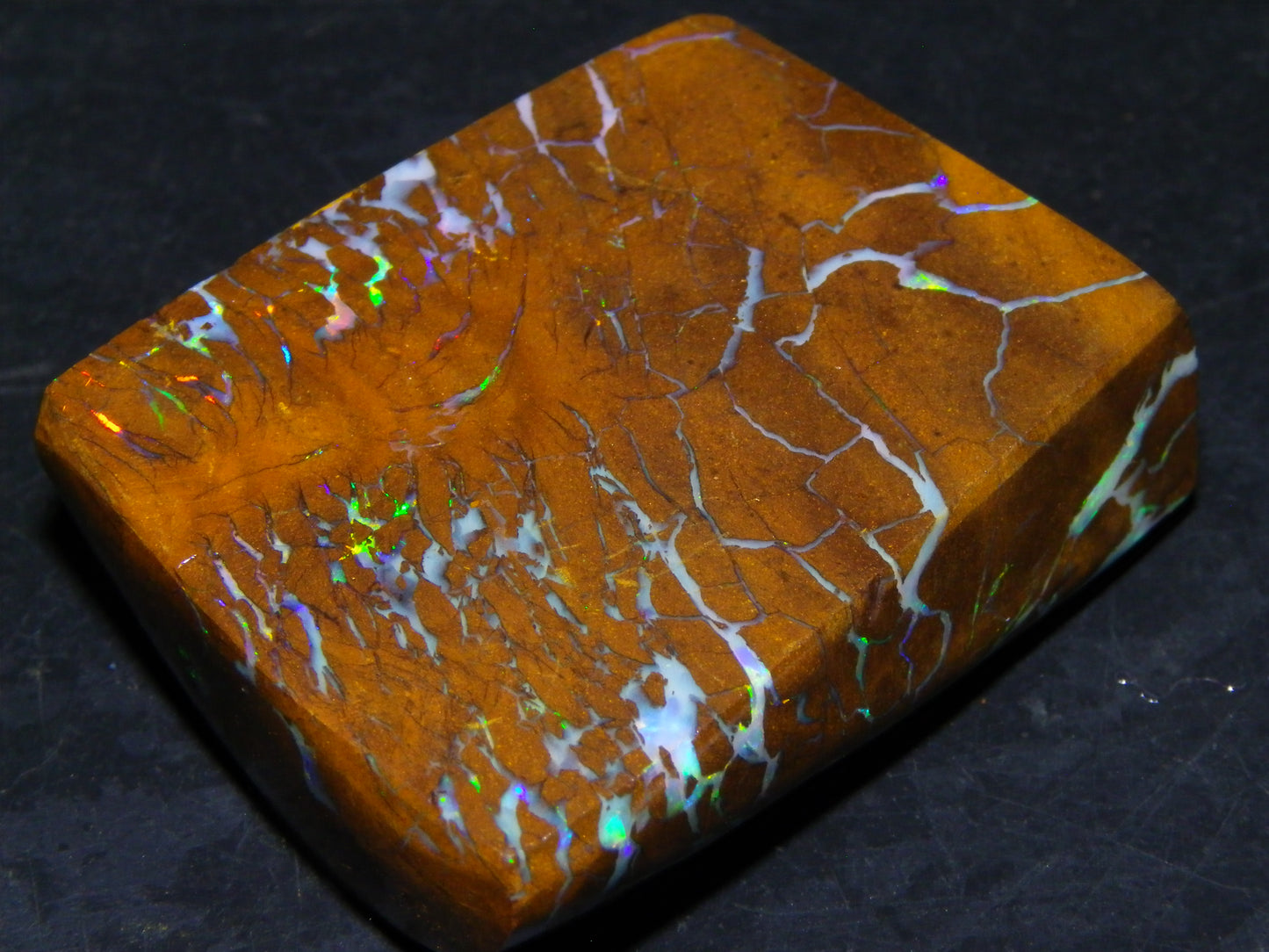 Gem Rough/Sliced Matrix Opal Set/Parcel 1218cts Opalton Queensland Australia