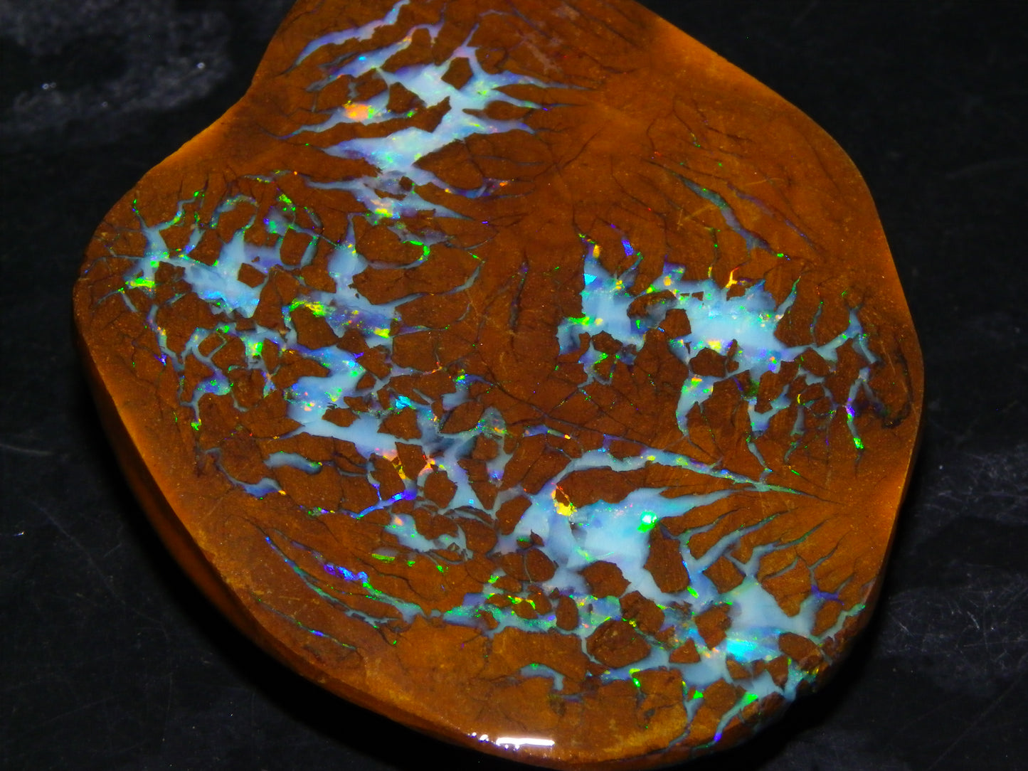 Gem Rough/Sliced Matrix Opal Set/Parcel 1218cts Opalton Queensland Australia
