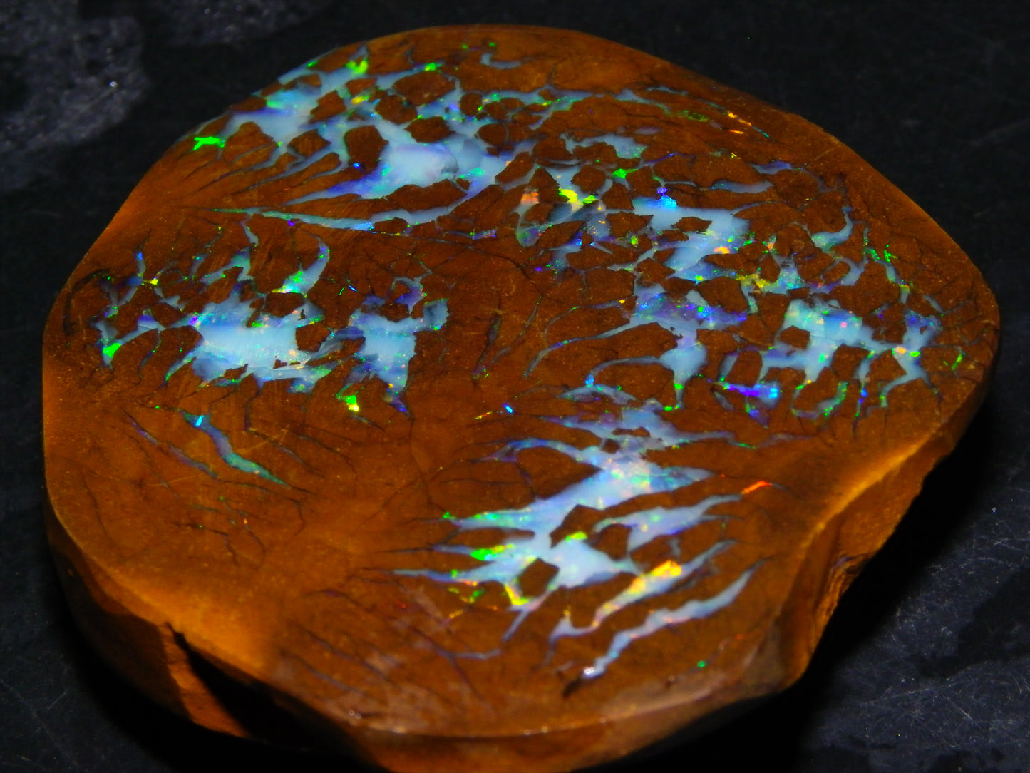 Gem Rough/Sliced Matrix Opal Set/Parcel 1218cts Opalton Queensland Australia