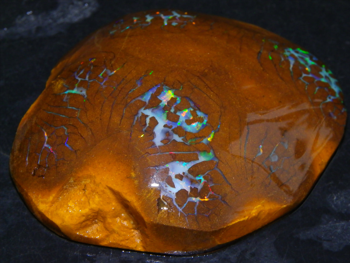 Gem Rough/Sliced Matrix Opal Set/Parcel 1218cts Opalton Queensland Australia