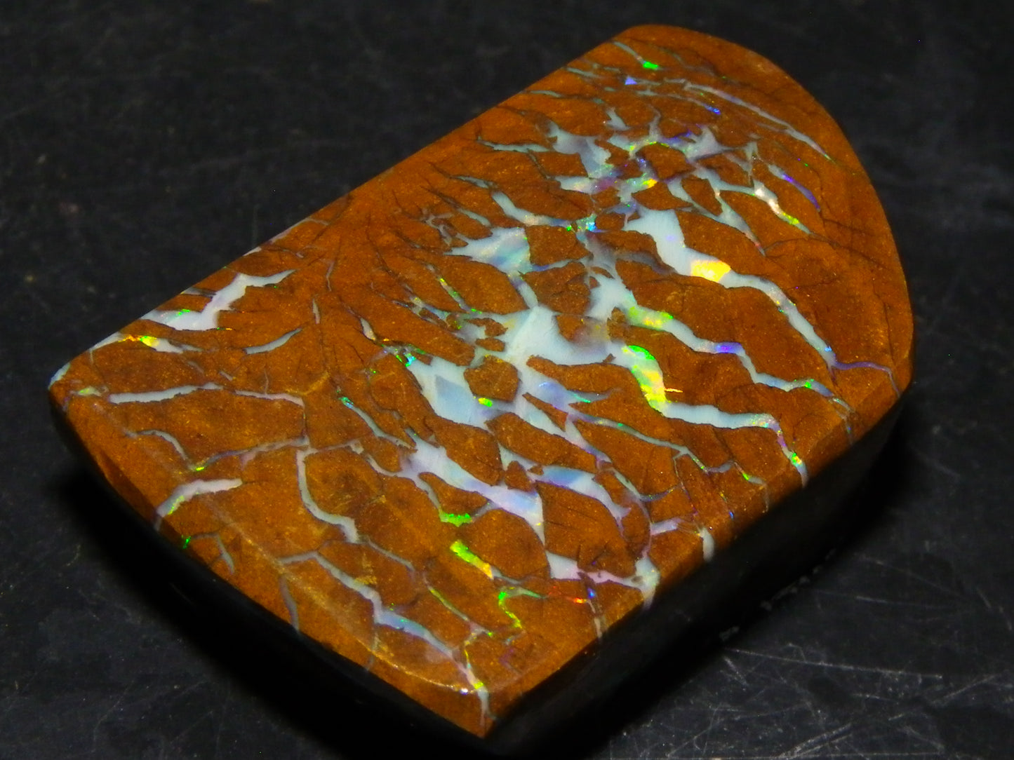 Gem Rough/Sliced Matrix Opal Set/Parcel 1218cts Opalton Queensland Australia