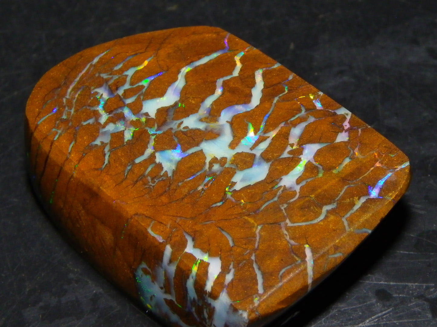 Gem Rough/Sliced Matrix Opal Set/Parcel 1218cts Opalton Queensland Australia