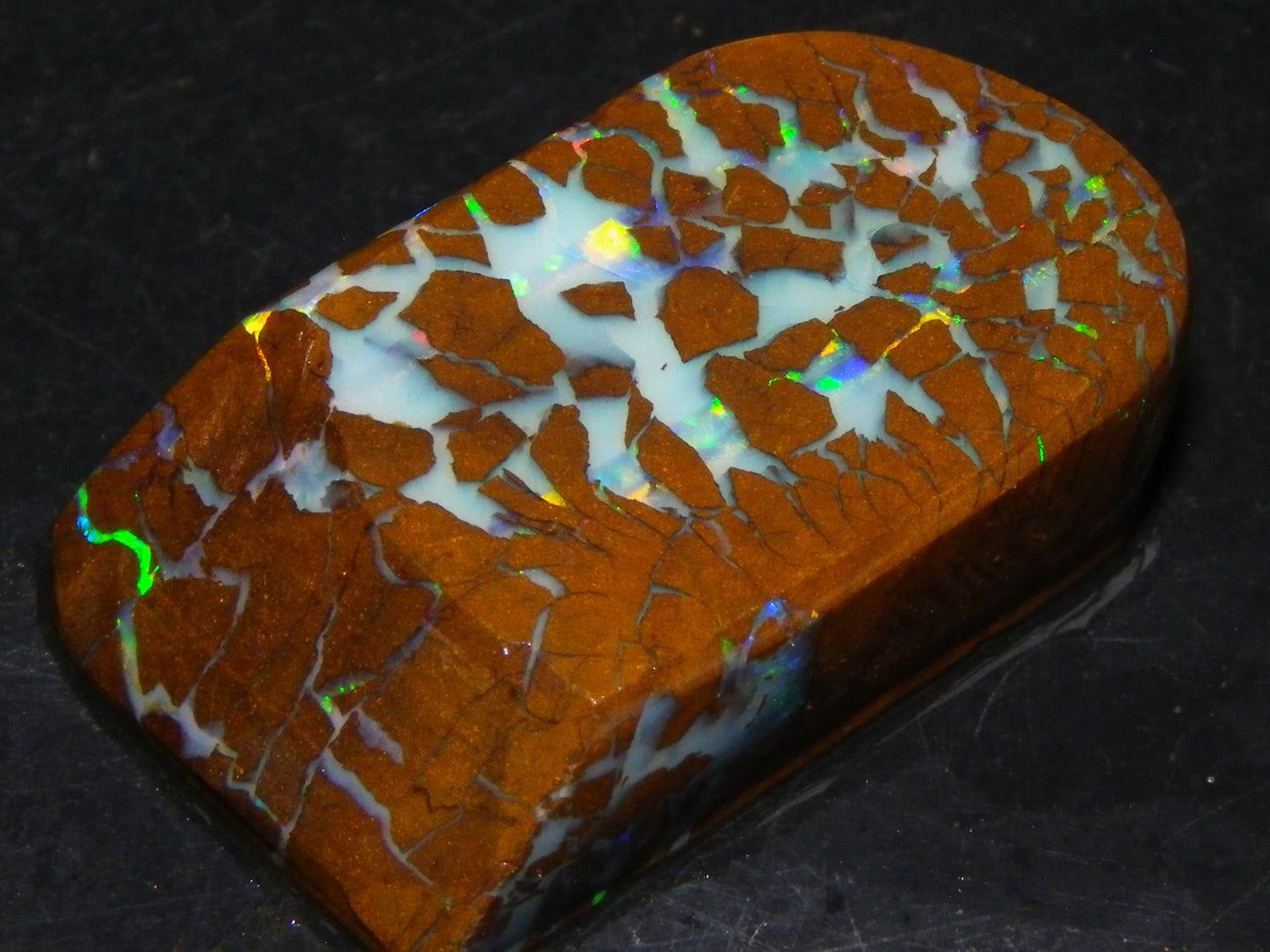 Gem Rough/Sliced Matrix Opal Set/Parcel 1218cts Opalton Queensland Australia