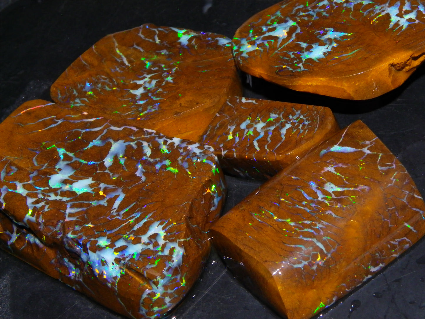 Gem Rough/Sliced Matrix Opal Set/Parcel 1218cts Opalton Queensland Australia