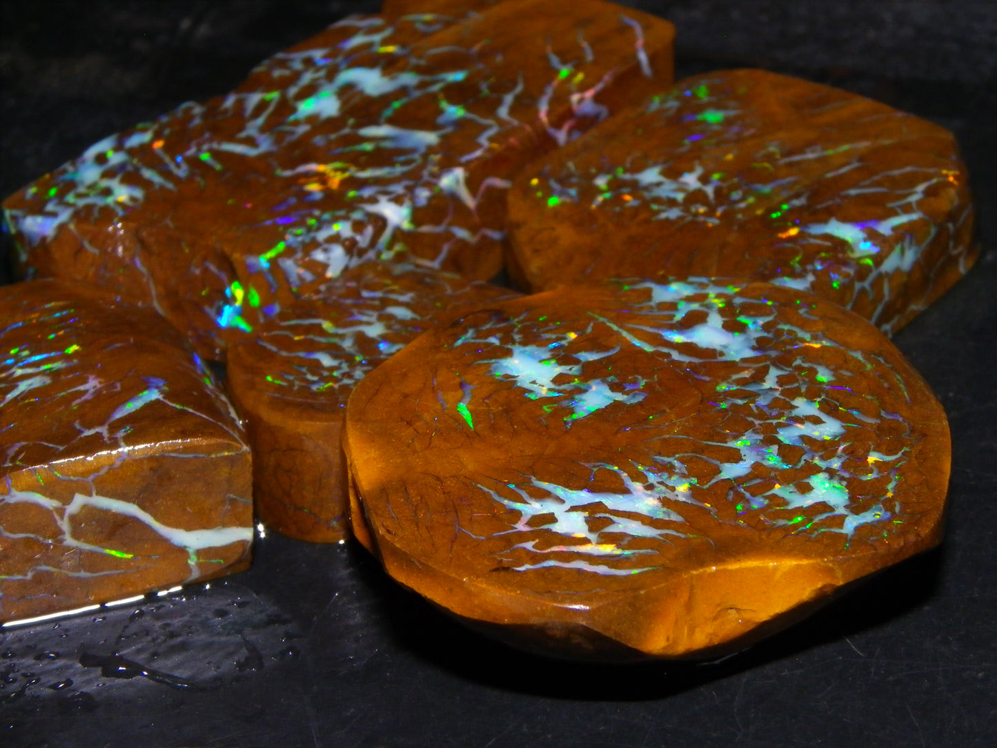Gem Rough/Sliced Matrix Opal Set/Parcel 1218cts Opalton Queensland Australia