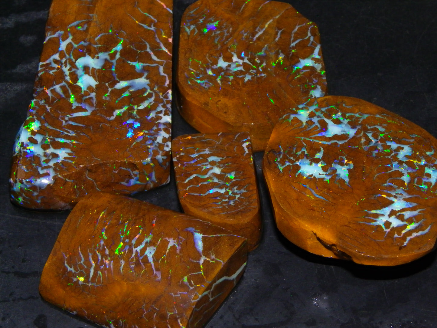 Gem Rough/Sliced Matrix Opal Set/Parcel 1218cts Opalton Queensland Australia