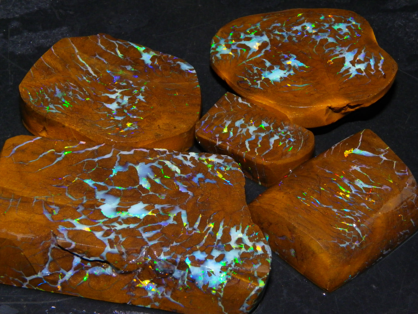 Gem Rough/Sliced Matrix Opal Set/Parcel 1218cts Opalton Queensland Australia