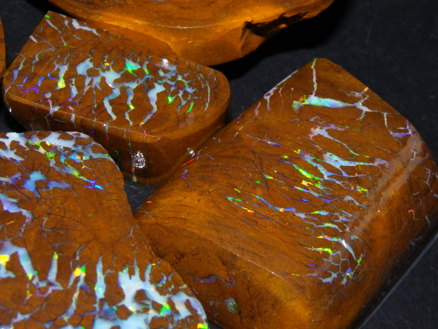 Gem Rough/Sliced Matrix Opal Set/Parcel 1218cts Opalton Queensland Australia