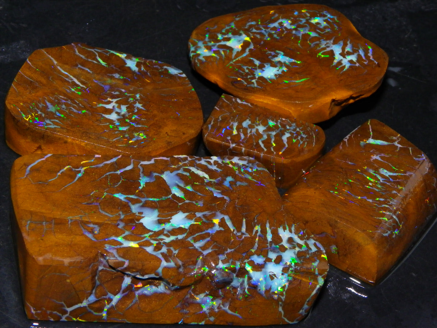 Gem Rough/Sliced Matrix Opal Set/Parcel 1218cts Opalton Queensland Australia