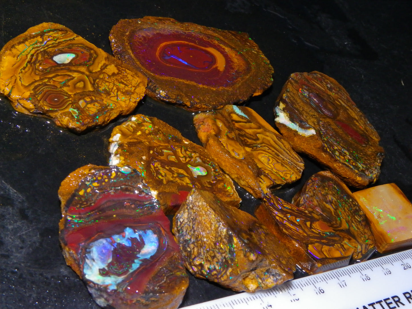 Nice Rough/Sliced Koroit Opal Parcel 906cts Queensland Australia Nuts/Pattern/Fires
