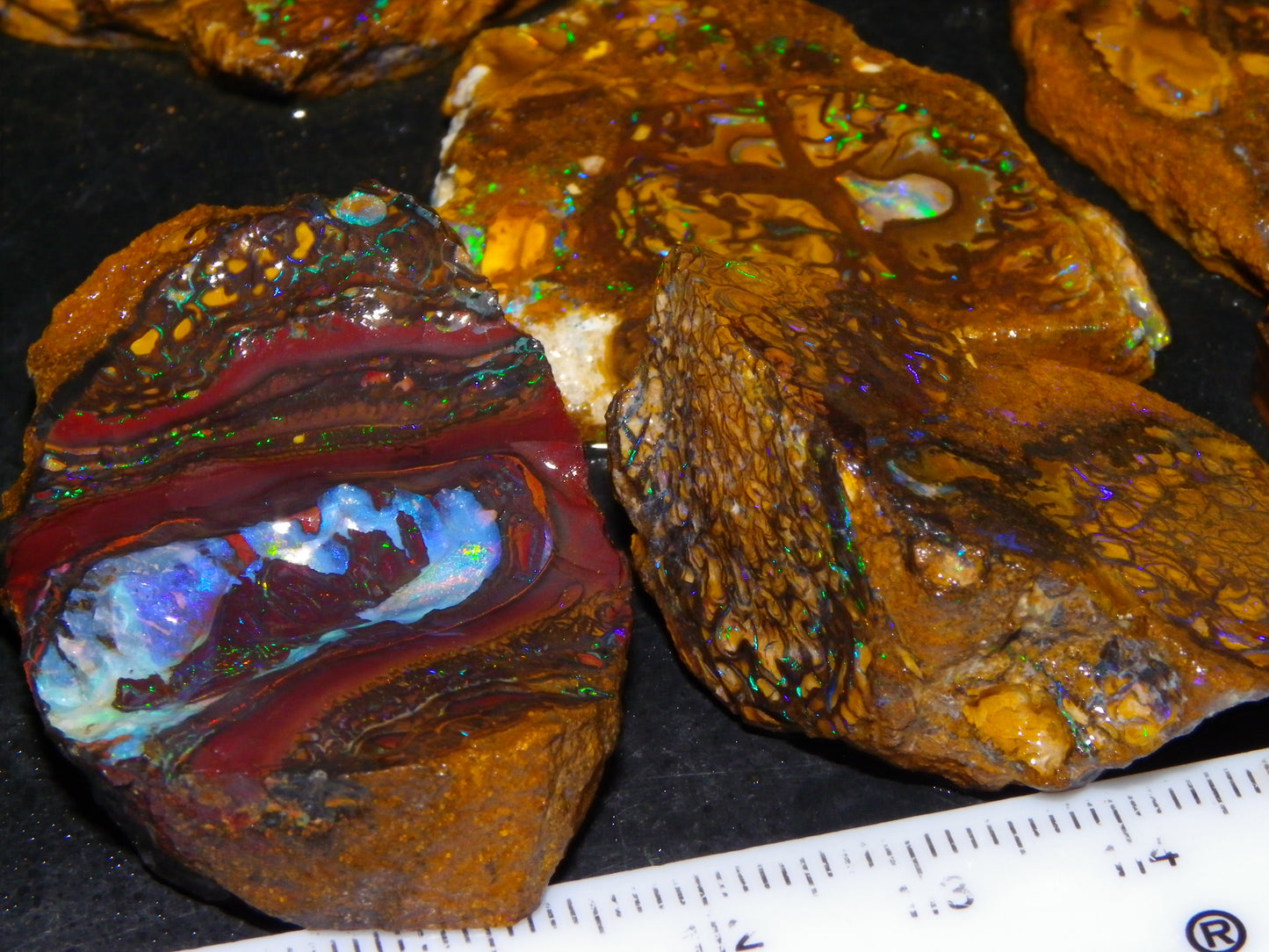 Nice Rough/Sliced Koroit Opal Parcel 906cts Queensland Australia Nuts/Pattern/Fires
