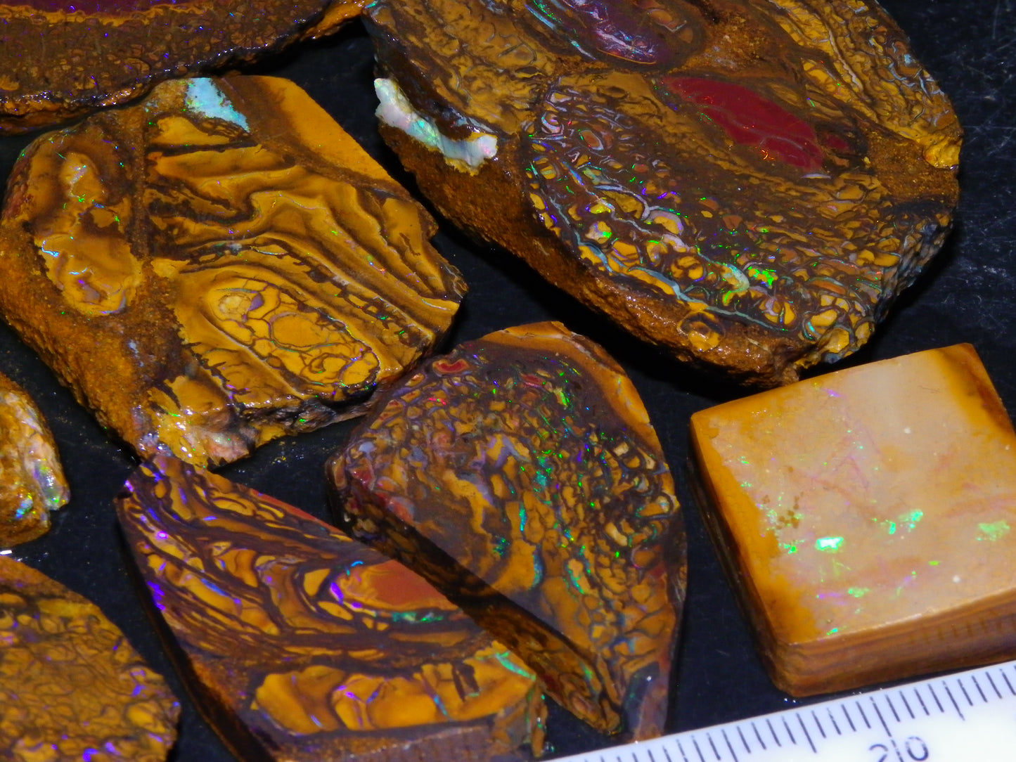 Nice Rough/Sliced Koroit Opal Parcel 906cts Queensland Australia Nuts/Pattern/Fires
