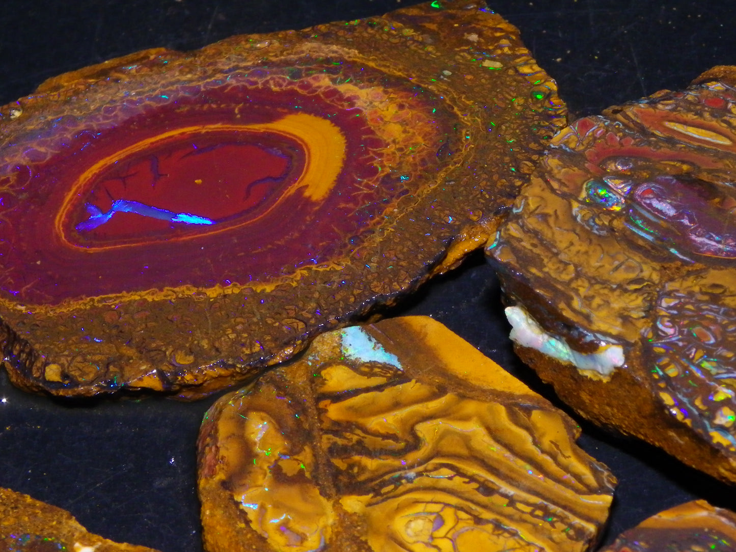 Nice Rough/Sliced Koroit Opal Parcel 906cts Queensland Australia Nuts/Pattern/Fires