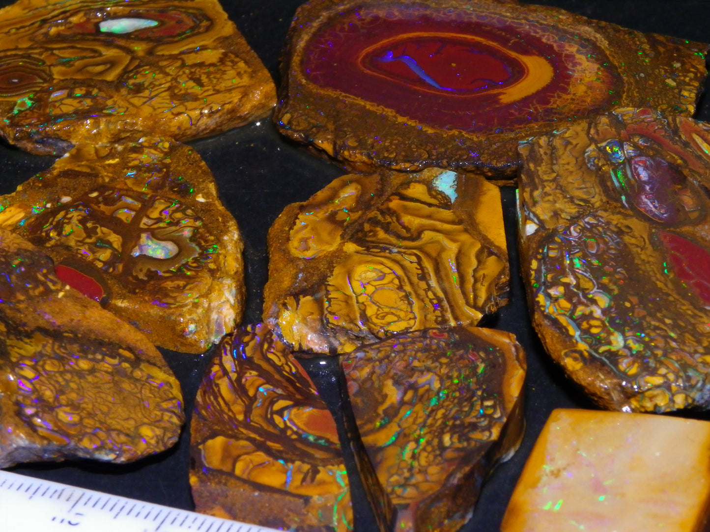 Nice Rough/Sliced Koroit Opal Parcel 906cts Queensland Australia Nuts/Pattern/Fires