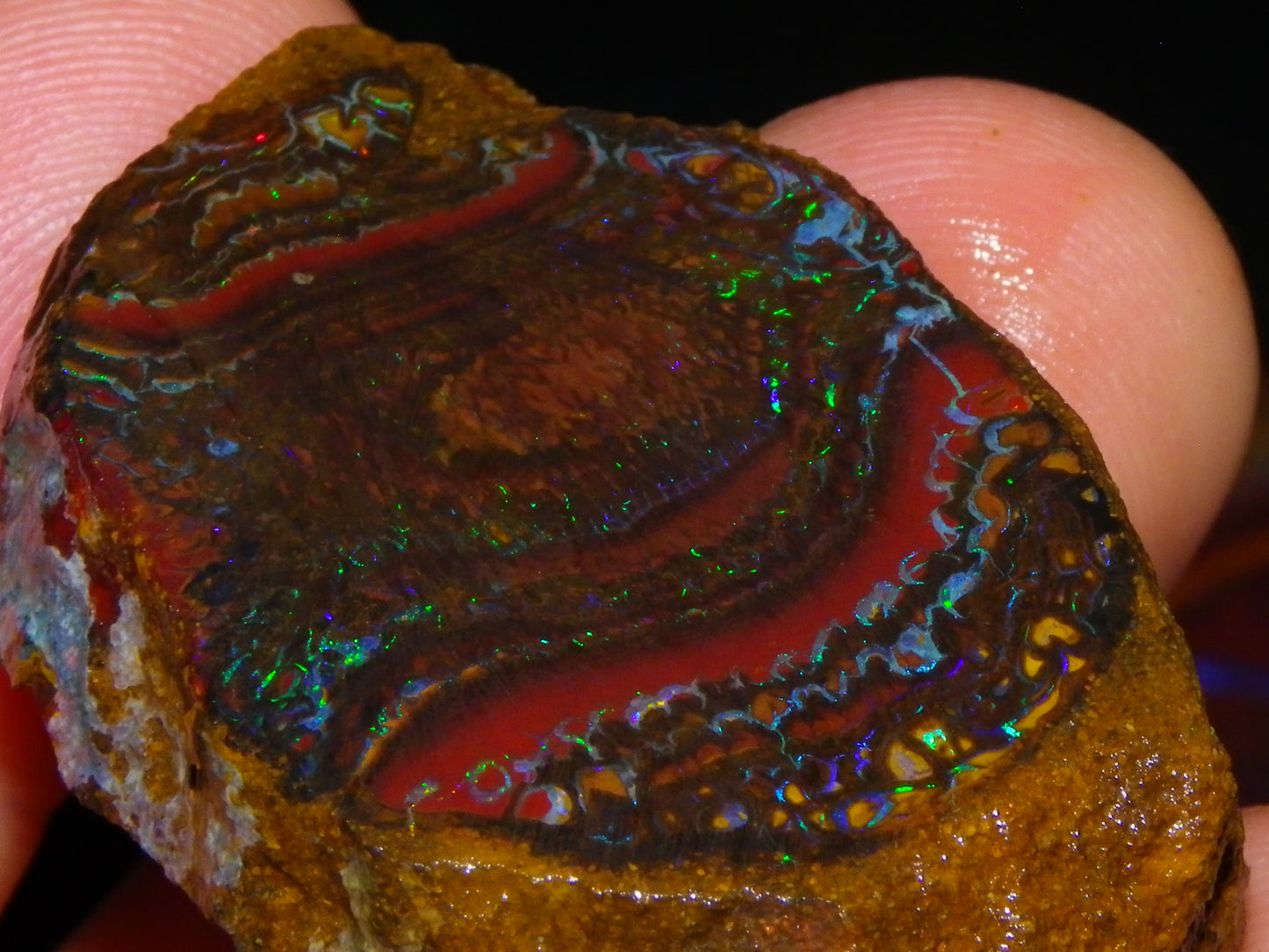 Nice Rough/Sliced Koroit Opal Parcel 906cts Queensland Australia Nuts/Pattern/Fires