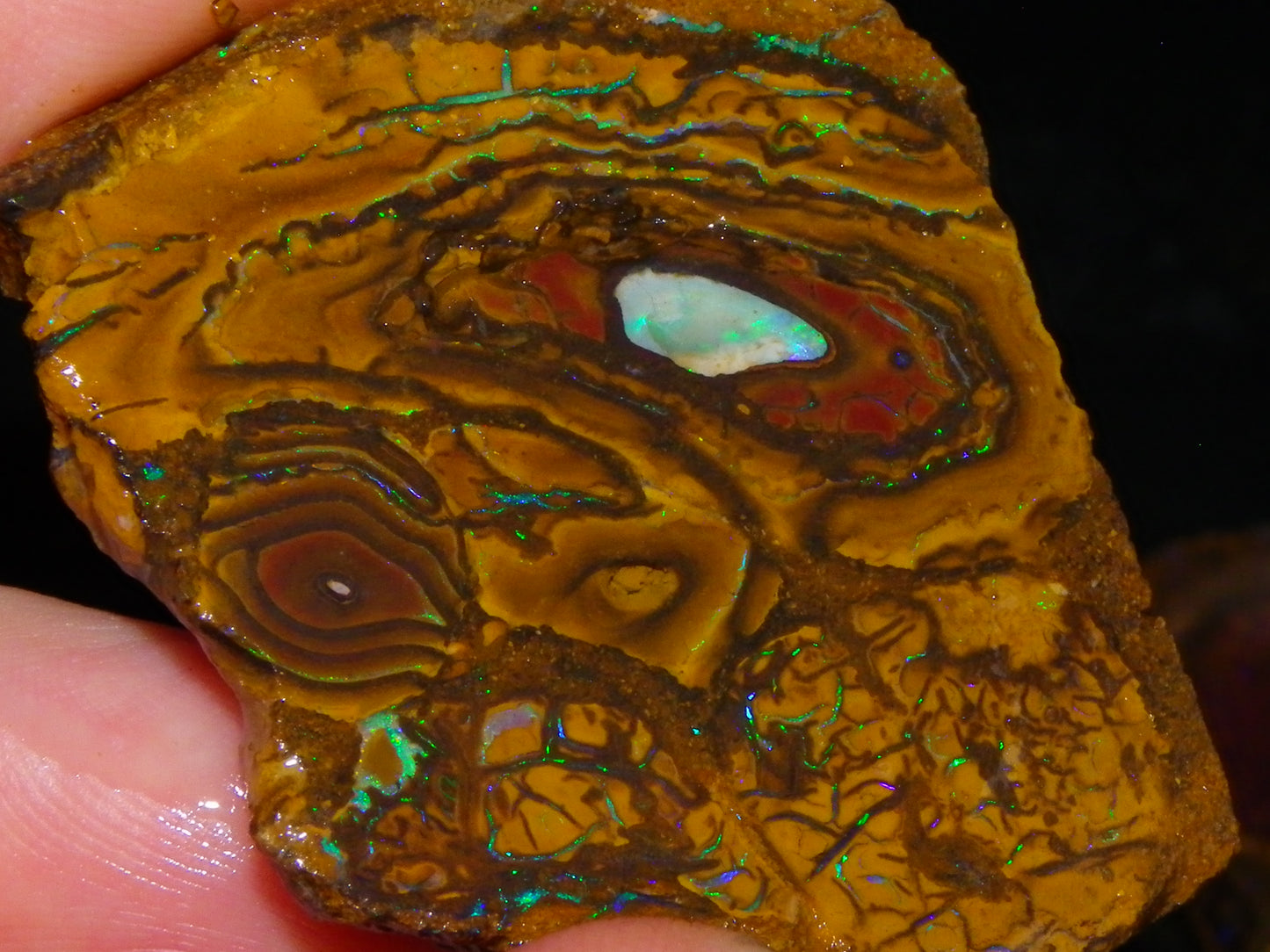 Nice Rough/Sliced Koroit Opal Parcel 906cts Queensland Australia Nuts/Pattern/Fires
