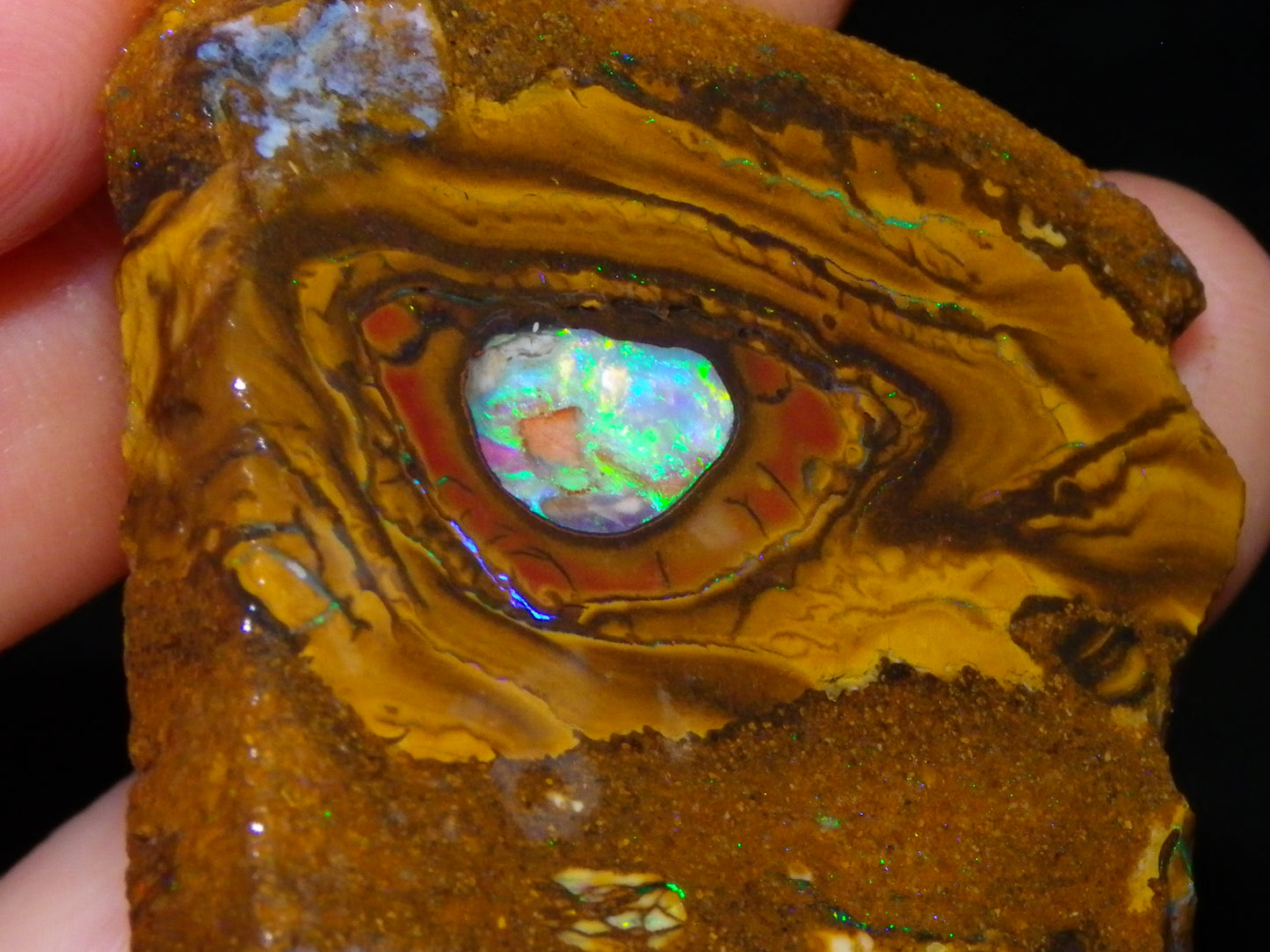 Nice Rough/Sliced Koroit Opal Parcel 906cts Queensland Australia Nuts/Pattern/Fires