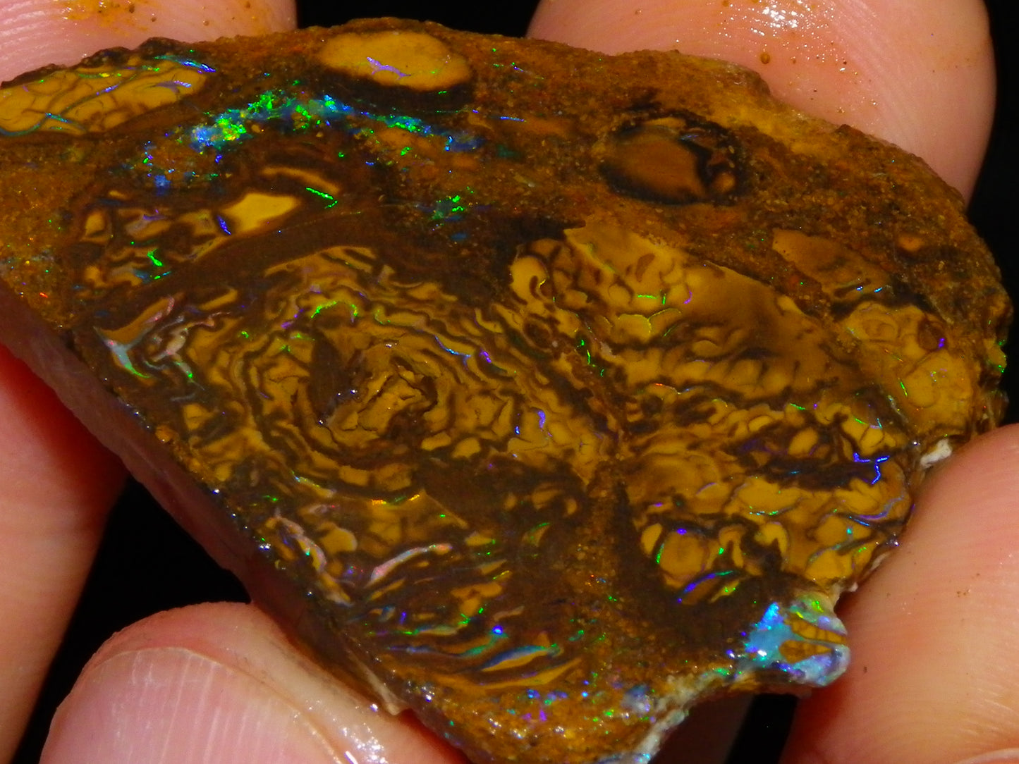Nice Rough/Sliced Koroit Opal Parcel 906cts Queensland Australia Nuts/Pattern/Fires