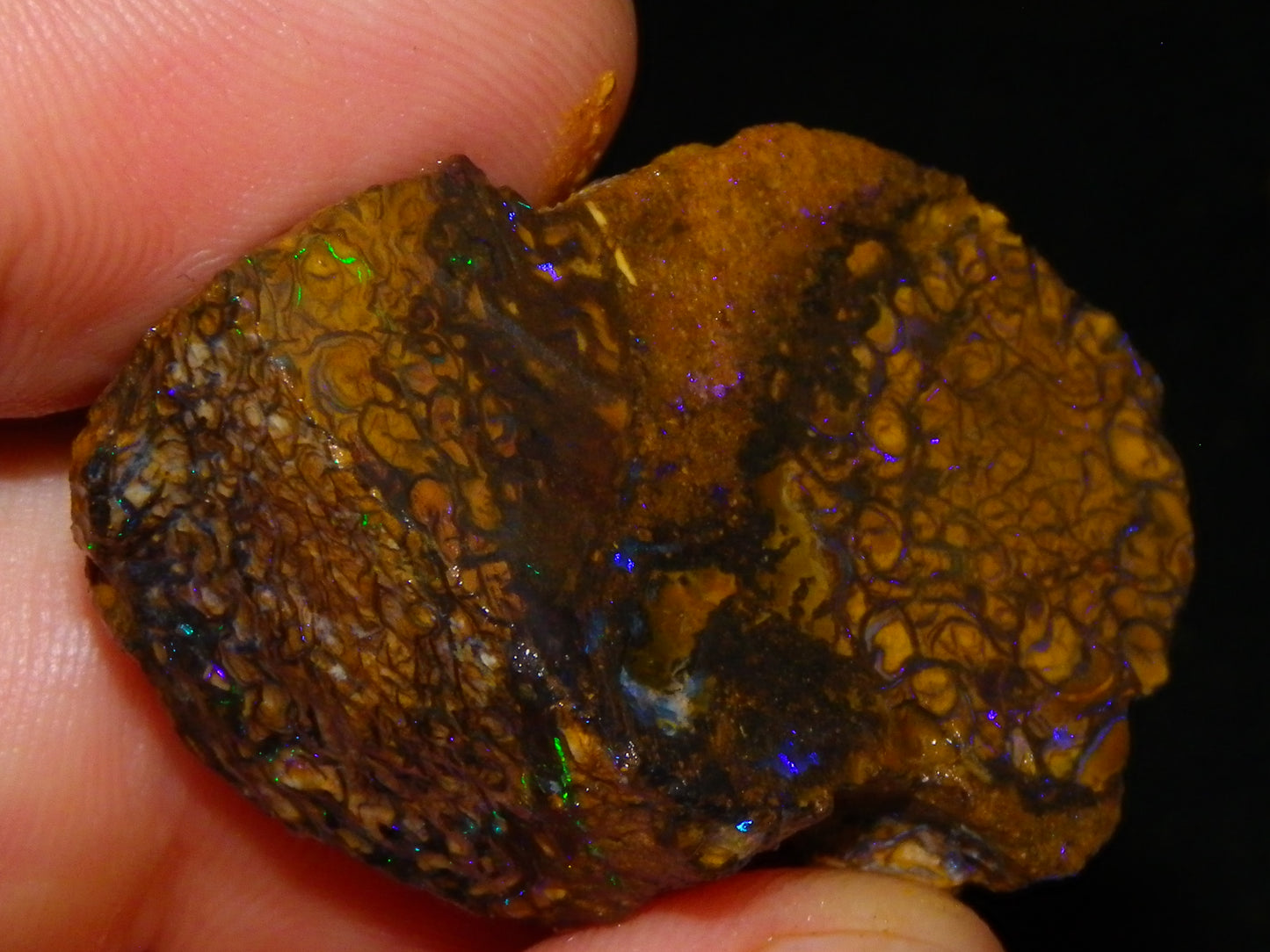 Nice Rough/Sliced Koroit Opal Parcel 906cts Queensland Australia Nuts/Pattern/Fires