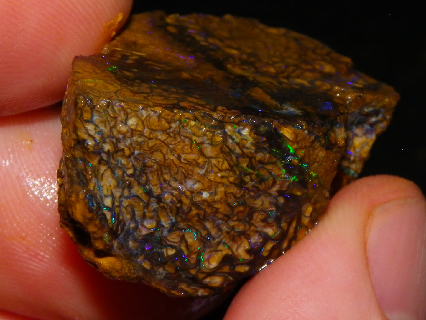Nice Rough/Sliced Koroit Opal Parcel 906cts Queensland Australia Nuts/Pattern/Fires