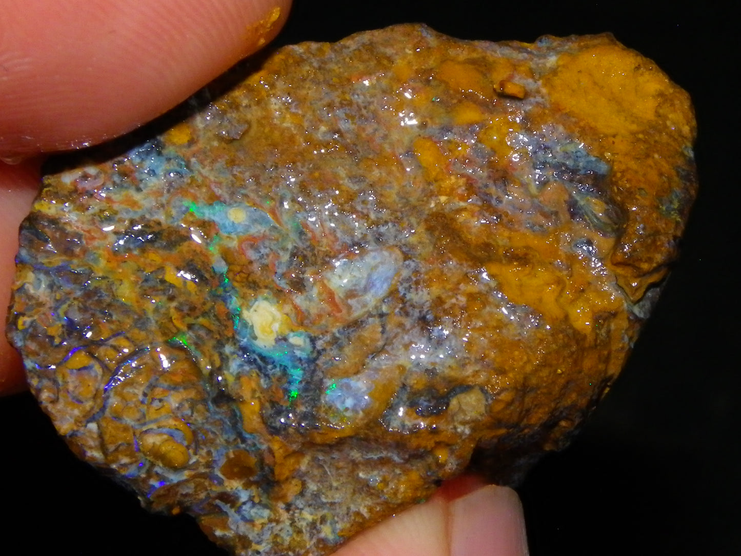 Nice Rough/Sliced Koroit Opal Parcel 906cts Queensland Australia Nuts/Pattern/Fires