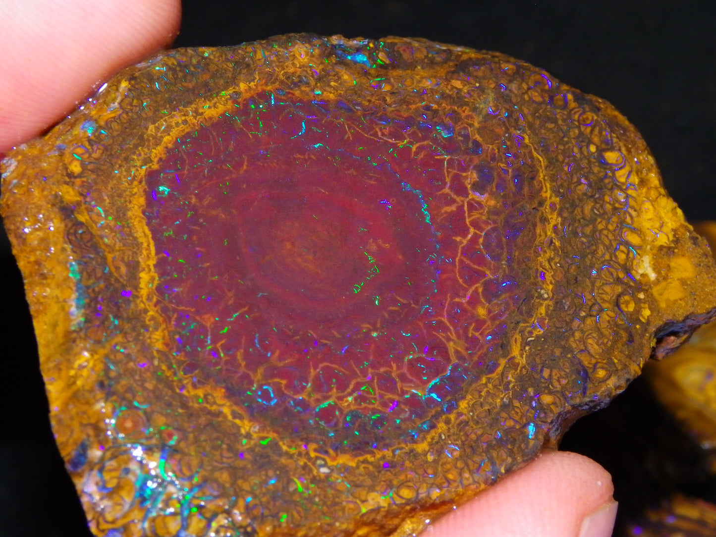Nice Rough/Sliced Koroit Opal Parcel 906cts Queensland Australia Nuts/Pattern/Fires