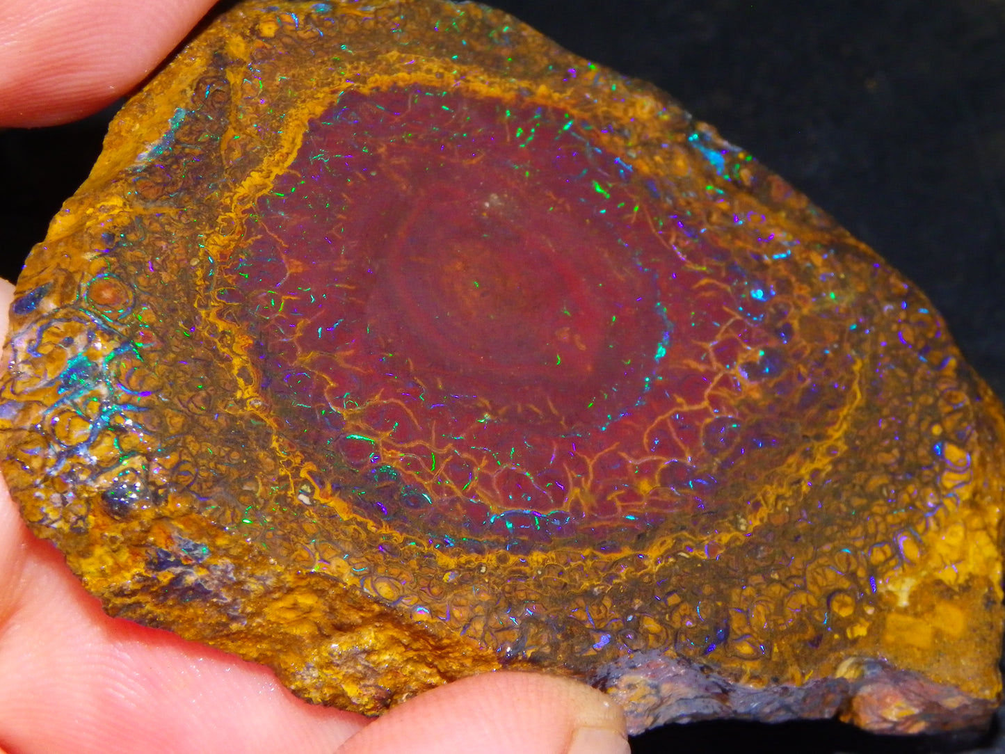 Nice Rough/Sliced Koroit Opal Parcel 906cts Queensland Australia Nuts/Pattern/Fires