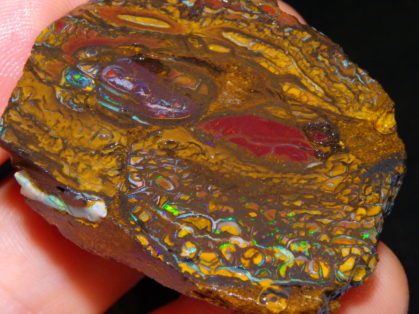 Nice Rough/Sliced Koroit Opal Parcel 906cts Queensland Australia Nuts/Pattern/Fires