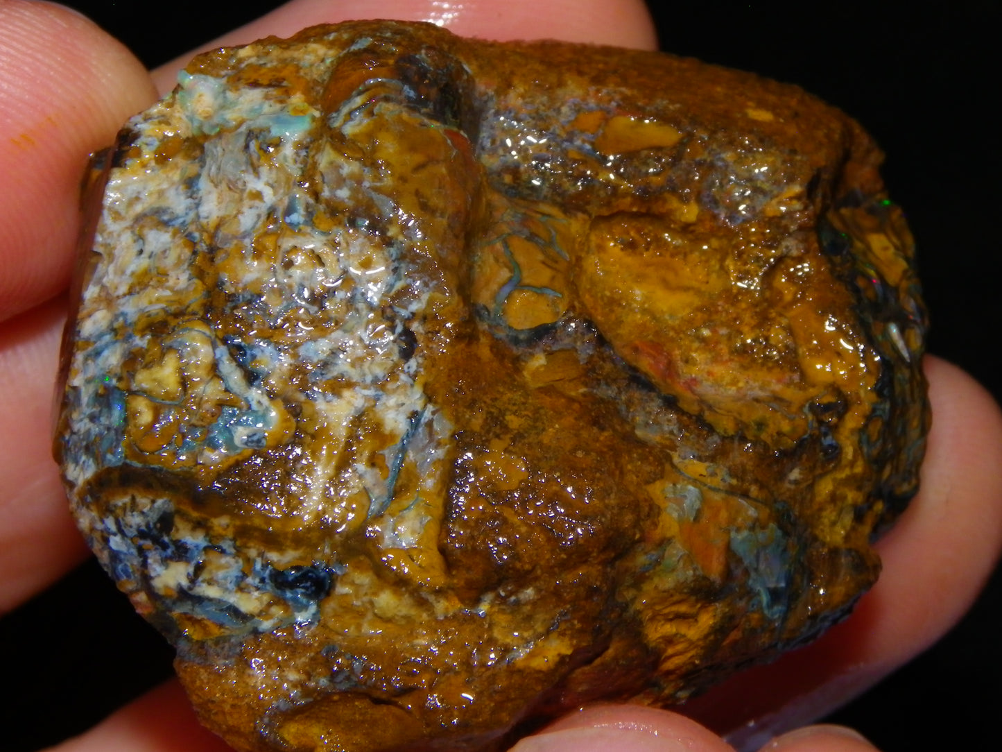 Nice Rough/Sliced Koroit Opal Parcel 906cts Queensland Australia Nuts/Pattern/Fires