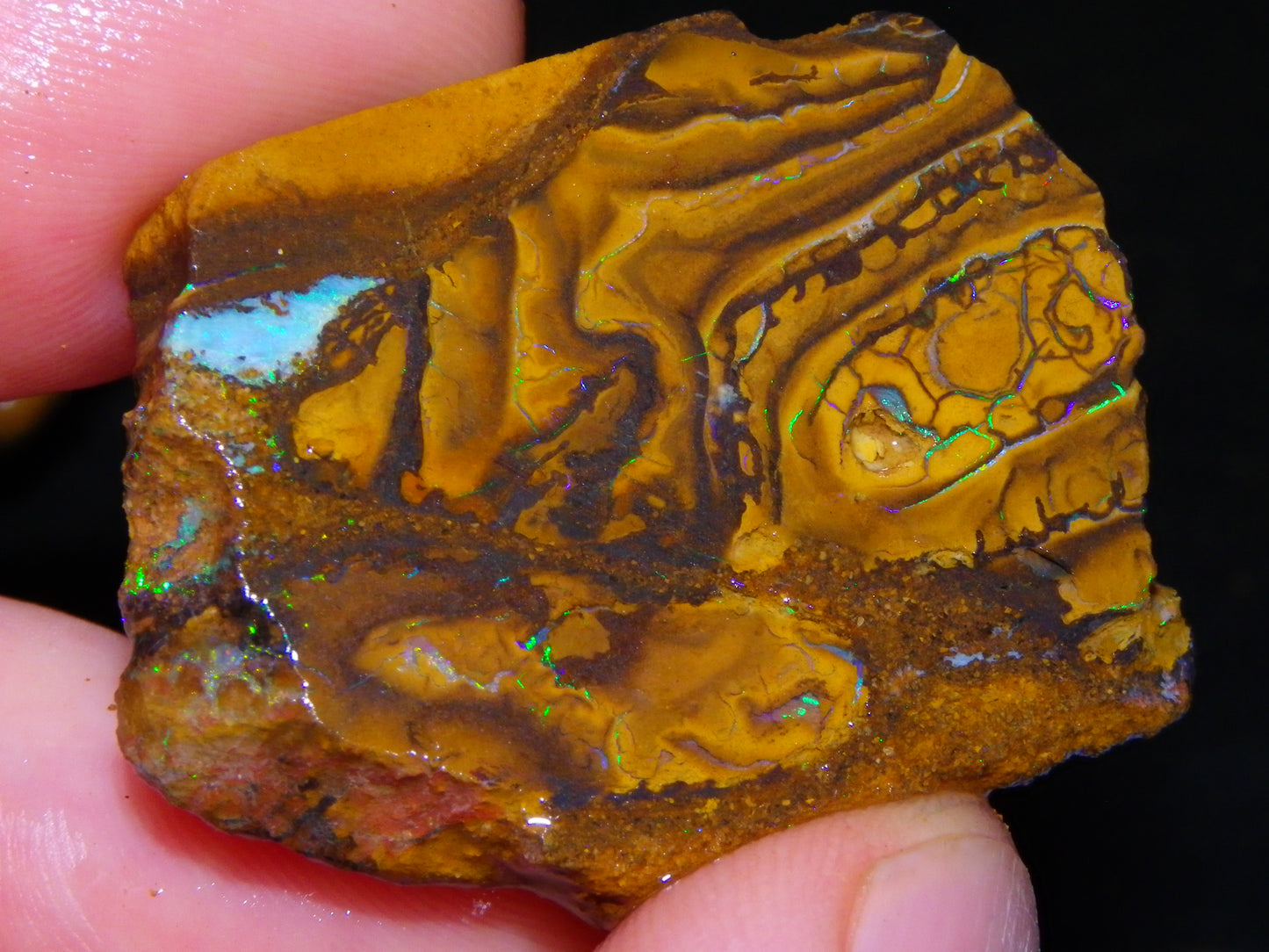 Nice Rough/Sliced Koroit Opal Parcel 906cts Queensland Australia Nuts/Pattern/Fires